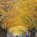 詩가 된 풍경 이미지