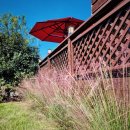 송이마당1198 이미지