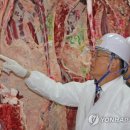 바른축산유통 이미지