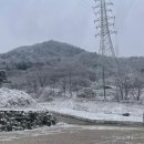 코알라캠핑장 이미지
