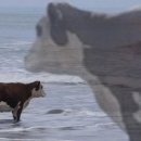 영난농장 이미지