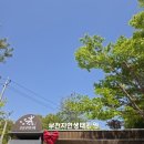 경기 꽃명소 식물원부터 생태학습장까지 온 가족 소풍가기 좋은 부천자연생태공원