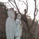 지광사 Daum카페