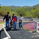 장수목장2 이미지