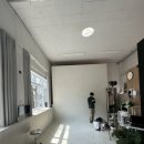 [서울웨딩스튜디오+야외웨딩스냅] 가성비웨딩촬영💍 모스앤코튼 추천인,할인방법