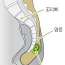삼성항외과 이미지