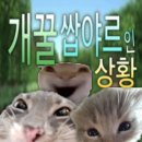 매머드커피강남대로점 | 지옥에서 누가 돌아왔~게