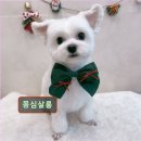 몽심살롱