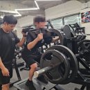 여기짐 네이버블로그
