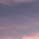 [아산] 스파포레 글램핑 - 글렘포레 숙박 후기