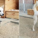 쌍    암 이미지