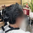 미스터컷트 이미지