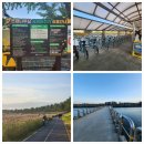 불노천자전거길 | [아산] 단풍이 물드는 곡교천 은행나무길 자전거 대여 리얼 후기