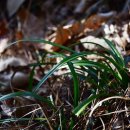 도산일주로 이미지