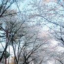 망일산 주차장 이미지
