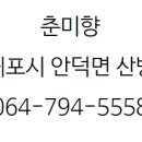 카카오 이미지