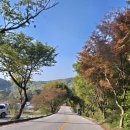[충북캠핑] 청주 근교 캠핑장 음성 수레의산 자연휴양림 국민여가캠핑장, 초향기칼국수, 카페 이음 원남점