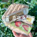 두말 | 군자역 윤숲과자점 후르츠산도 두바이산도 두말 오픈런 후기