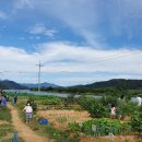 도담농장 이미지