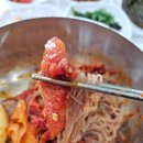 고원 | 속초 아바이마을 애견동반 순대국 맛집 아바이마을고원 후기 (+짱친절한 사장님!)