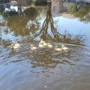 영도구-7 이미지