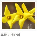 장동초교 이미지