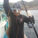 수원-0745 Daum카페