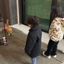 세종 하이키즈풀빌라 이미지