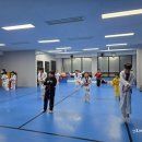 강호 해솔 태권도 이미지