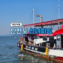 태안 안면도 바다낚시 배낚시 선녀피싱 내돈내산 방문후기 | 토요일 주말 오후 바다낚시 추천