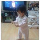 지우홍삼
