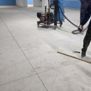 대호체육관 이미지