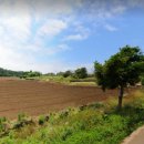 김앤김공인중개사사무소 이미지