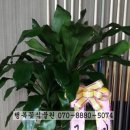 그랑프리당구장 이미지