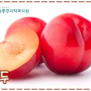 시원한정형외과의원 이미지