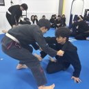 김포골든라이온주짓수
