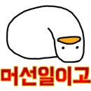 설봉정육식당 이미지