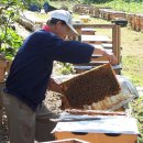 박찬호농장 이미지