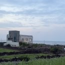 씨유제주메르블루점 | 혼자여행도 든든한 제주 동쪽 메르블루게스트하우스🏝️