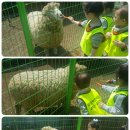 남이보건진료소 이미지