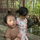 노엘농장 이미지