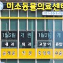 미소동물의료센터 이미지