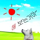 블리즈미