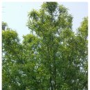 동산자연어린이집 이미지