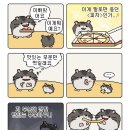 행성기타 네이버블로그