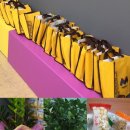 비산해법학원