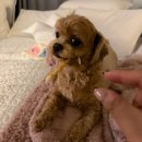 예쓰멍! 이미지