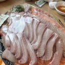 사천 상40호(비1호) | 노량진 방어 맛집 청양수산 메뉴 가격 내돈내산 방어모둠회 추천 후기