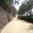 도산민박 이미지