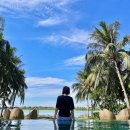 모도리미장